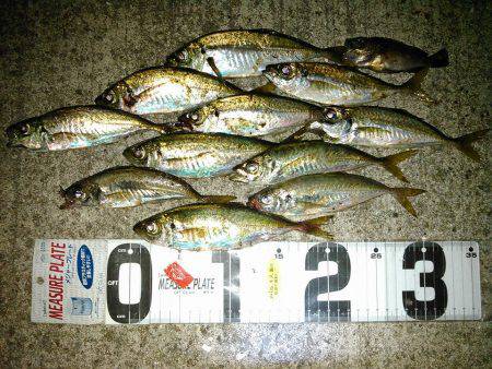 ドラグの大切さ